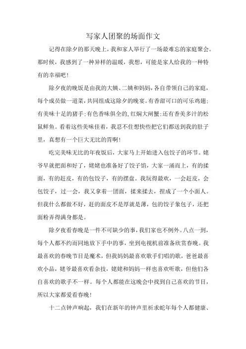 写家人团聚的场面作文
