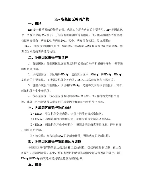 hbv各基因区编码产物