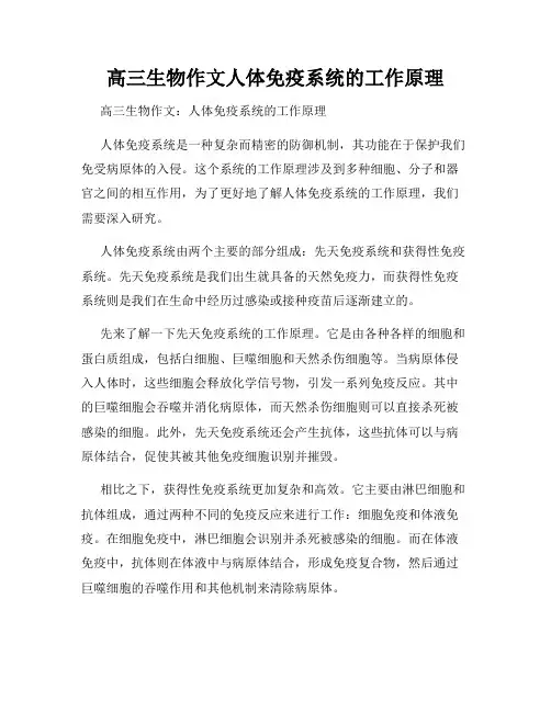 高三生物作文人体免疫系统的工作原理