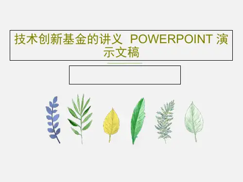 技术创新基金的讲义  POWERPOINT 演示文稿共47页文档