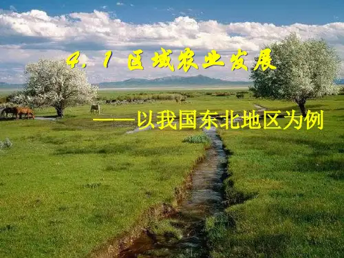 高中地理课件区域农业发展5456
