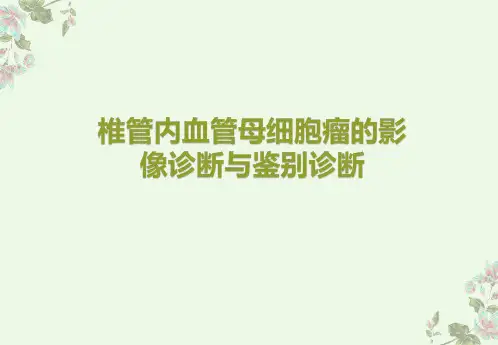 椎管内血管母细胞瘤的影像诊断与鉴别诊断