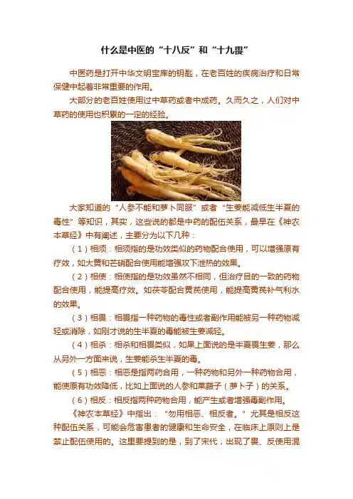 什么是中医的“十八反”和“十九畏”