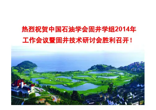 01-中石油固井技术进展与展望介绍