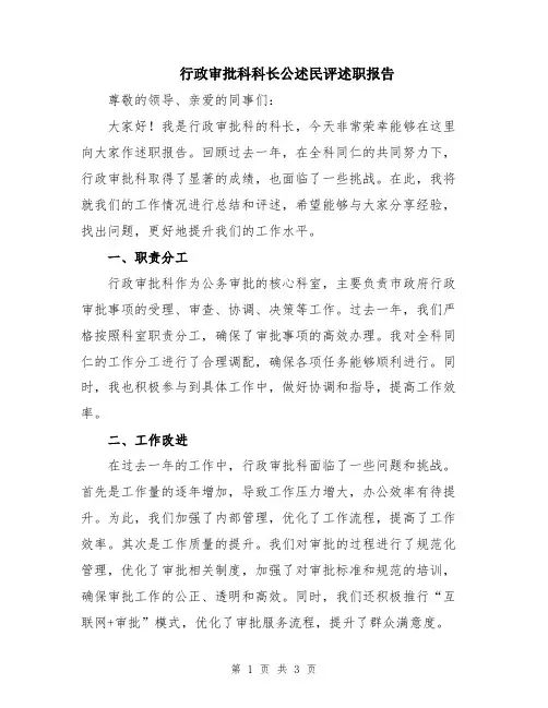 行政审批科科长公述民评述职报告