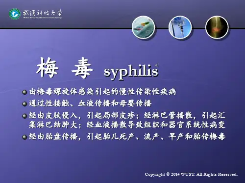 皮肤病学之梅毒