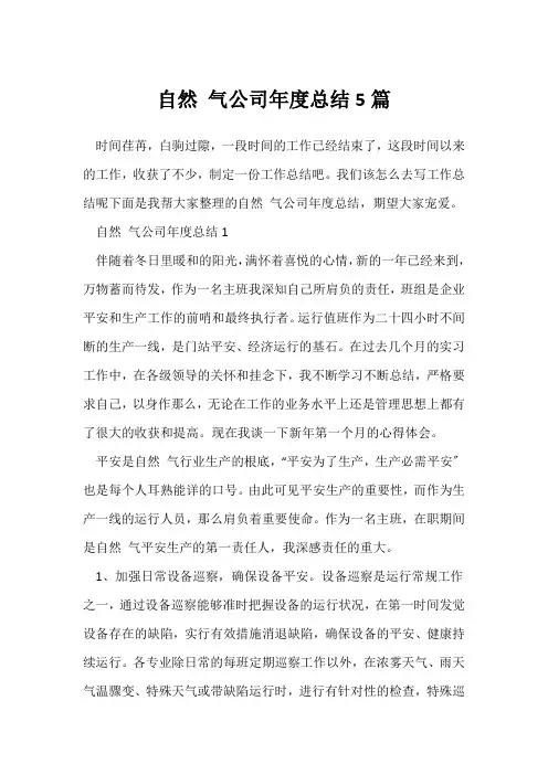 (公司活动总结)天然气公司年度总结5篇