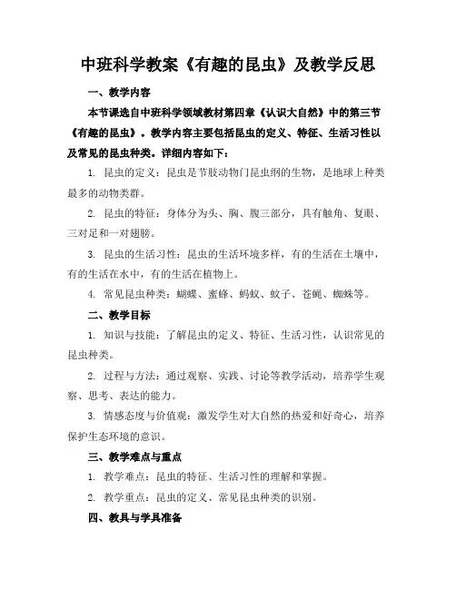 中班科学教案《有趣的昆虫》及教学反思