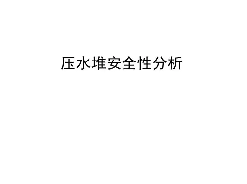 压水堆安全性分析