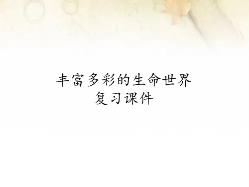 六上丰富多彩的生命世界复习课件