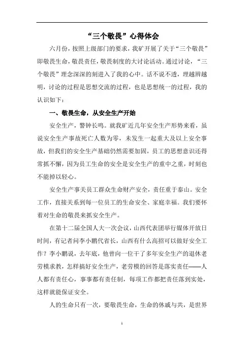 2020年整理三个敬畏体会.doc