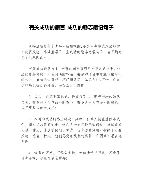 有关成功的感言_成功的励志感悟句子
