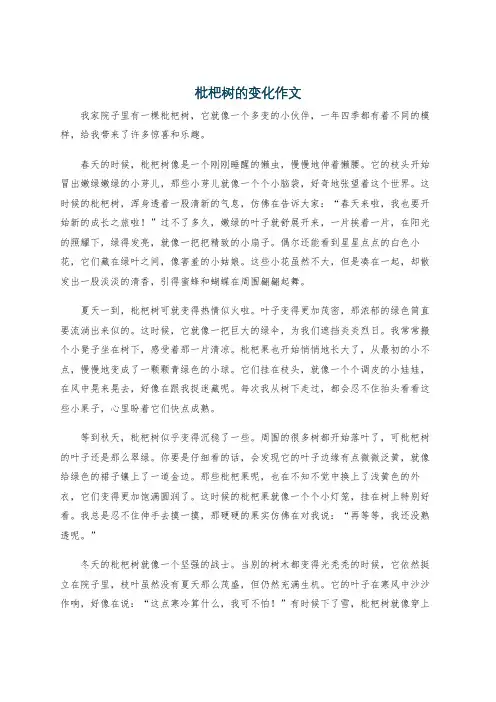 枇杷树的变化作文