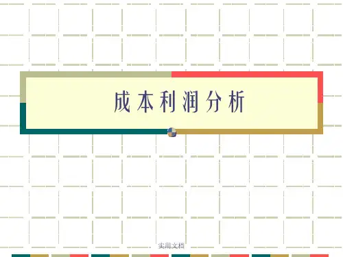 《成本利润分析》PPT课件