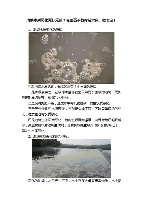 池塘水质恶化死虾无数？养殖高手教你辩水色、做防治！