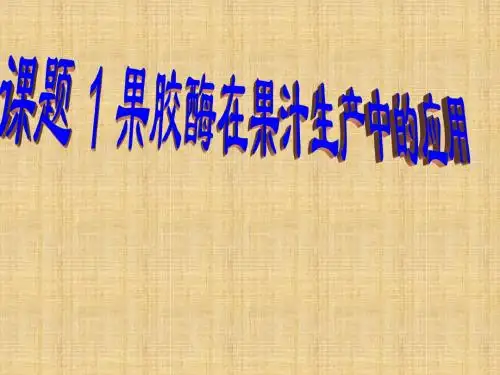 高中生物 专题四 酶的研究与应用名师精编课件 新人教版选修1