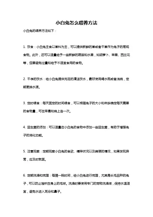 小白兔怎么喂养方法