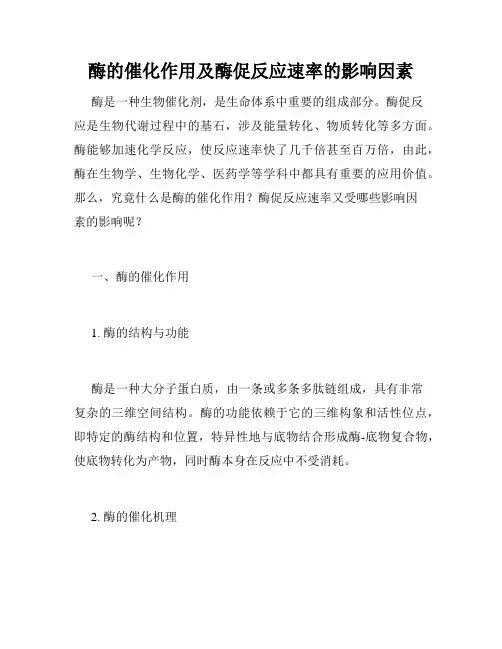 酶的催化作用及酶促反应速率的影响因素