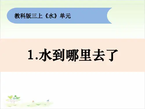 三年级上册科学-《水到哪里去了》教科版-PPT课堂课件
