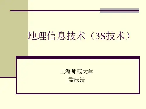 地理信息技术(3S技术)