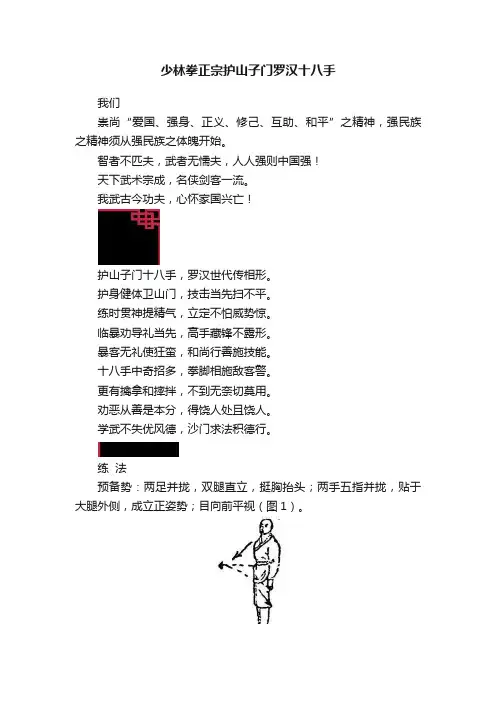 少林拳正宗护山子门罗汉十八手