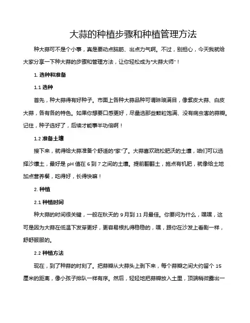 大蒜的种植步骤和种植管理方法