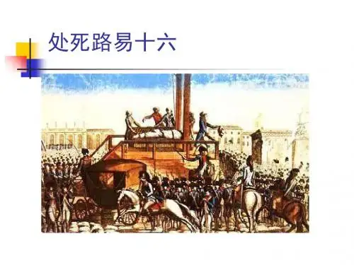 法国大革命和拿破仑帝国 PPT课件13 人教版
