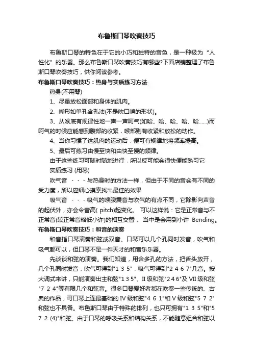 布鲁斯口琴吹奏技巧