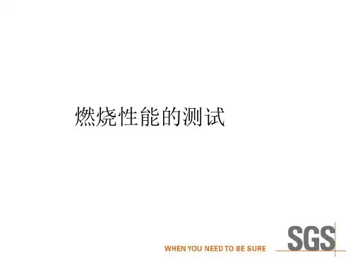 SGSflammabilityteststandard塑料可燃性测试标准精品PPT课件