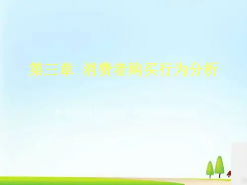 消费者购买行为分析(ppt 22页)