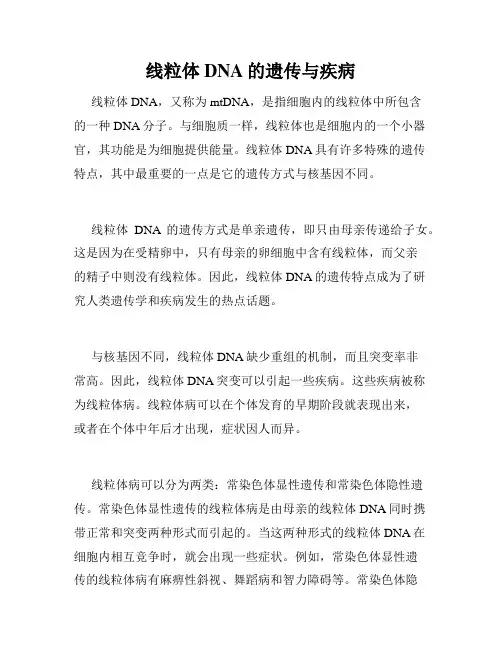 线粒体DNA的遗传与疾病