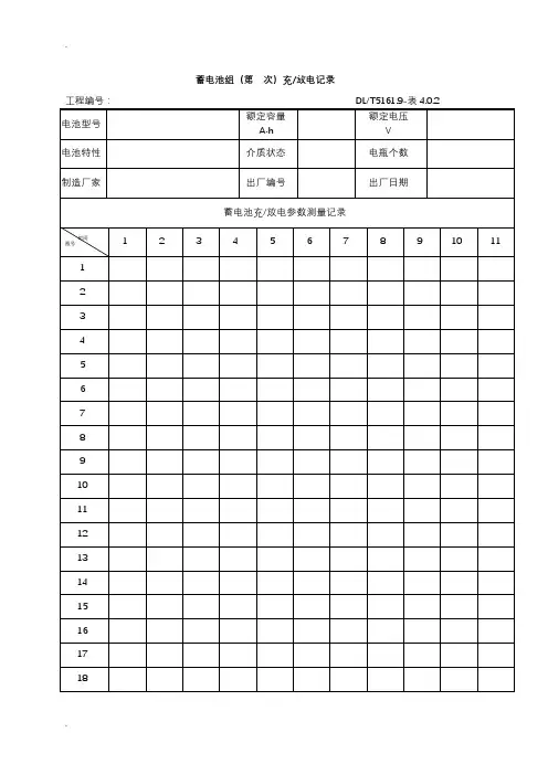 蓄电池组充放电记录表格格式