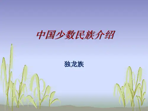 中国少数民族介绍精讲