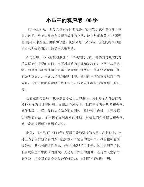 小马王的观后感100字