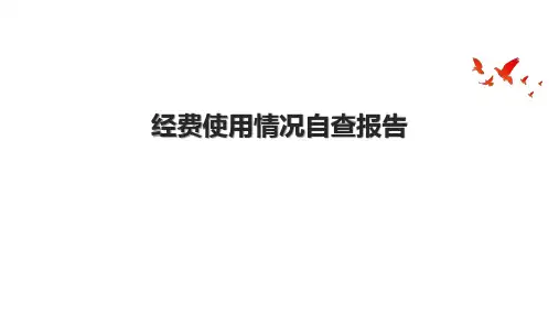 经费使用情况自查报告