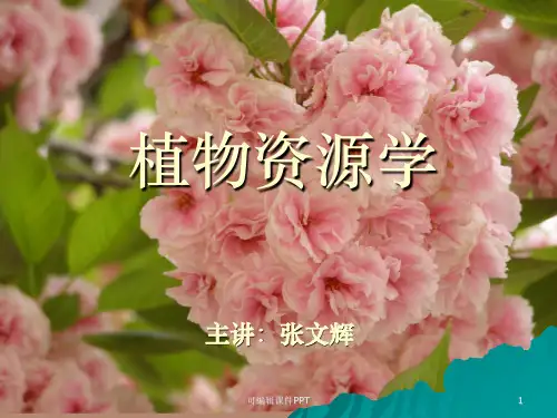 植物资源学绪论PPT课件