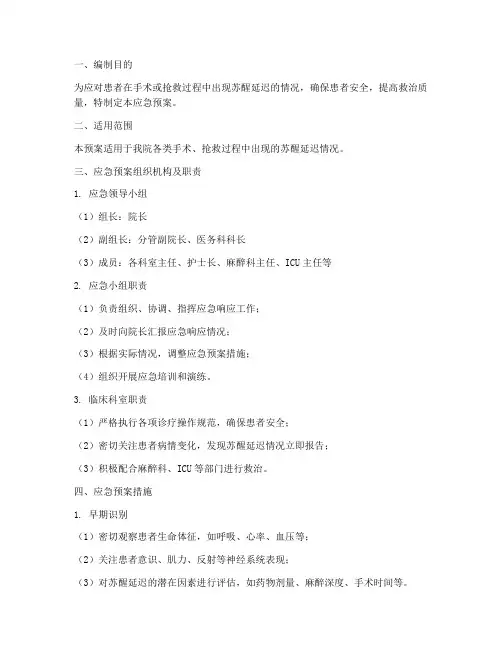 苏醒延迟应急预案