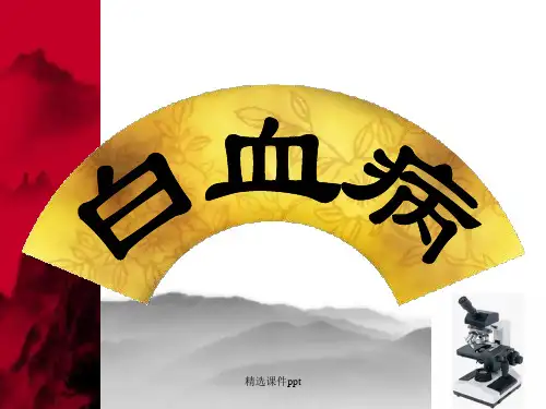 《急性白血病》PPT课件