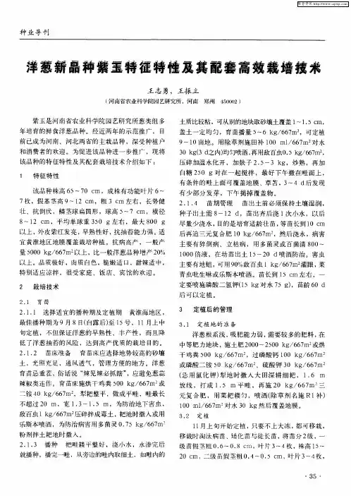 洋葱新品种紫玉特征特性及其配套高效栽培技术