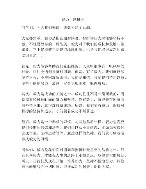 毅力主题班会