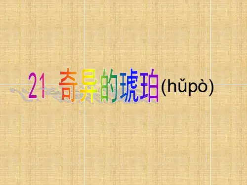 21奇异的琥珀