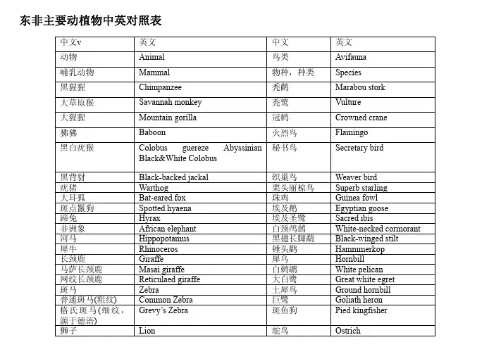 东非动物中英介绍
