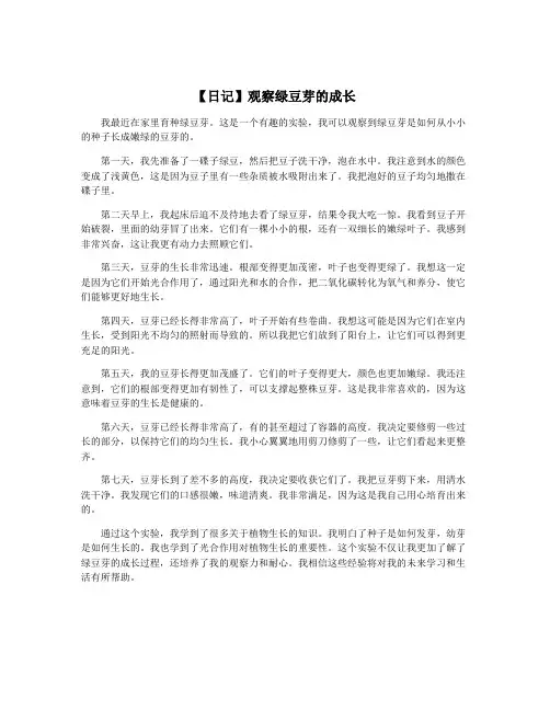 【日记】观察绿豆芽的成长