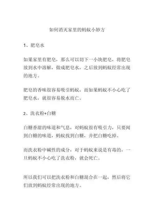 如何消灭家里的蚂蚁小妙方