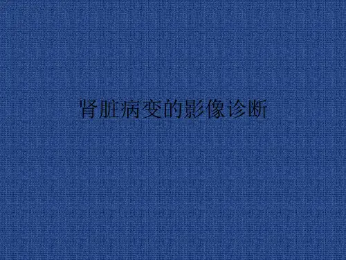 肾脏病变的影像诊断
