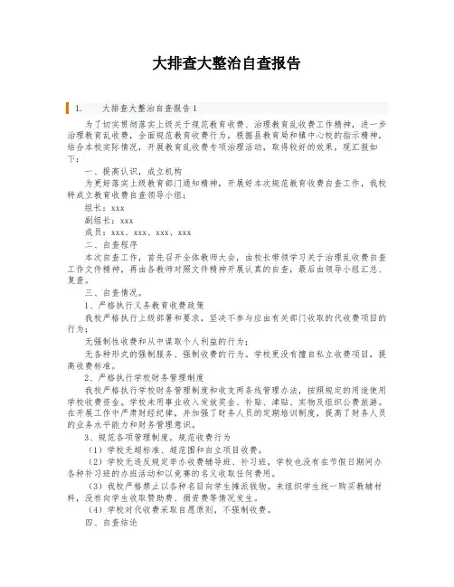 大排查大整治自查报告