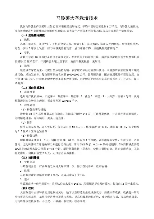 马铃薯大垄栽培技术