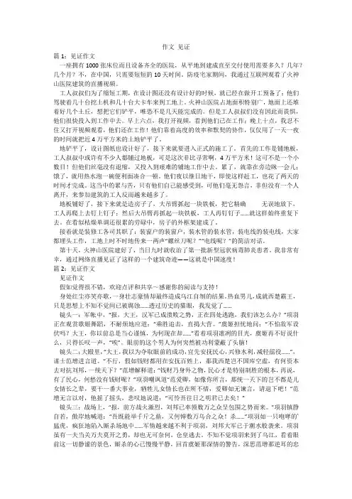 作文 见证