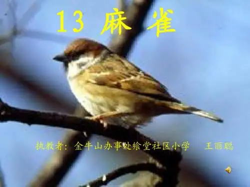 语文s版四年级上册《麻雀》课件