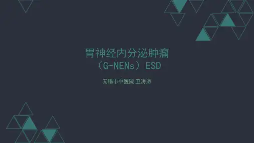 胃神经内分泌肿瘤